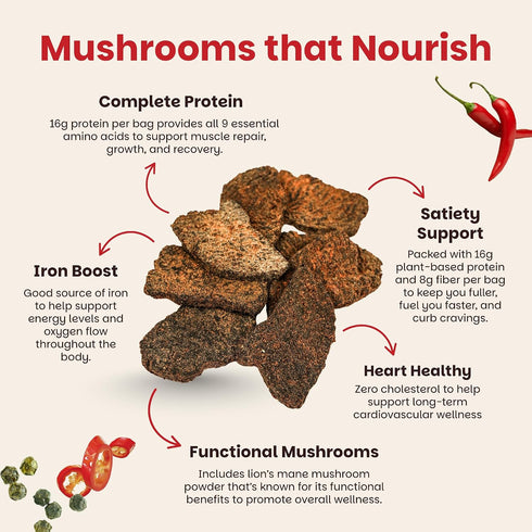 4 Pack (2 oz), Mourish Vegan Mushroom Jerky, Teriyaki & Sichuan Peppercorn, Good Source of Protein and Fiber, Plant