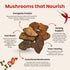 4 Pack (2 oz), Mourish Vegan Mushroom Jerky, Teriyaki & Sichuan Peppercorn, Good Source of Protein and Fiber, Plant