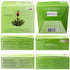 Creano Tea Flowers Mix - Blooming Green Tea, Fruity Flavored (Roses in 6 Varieties)