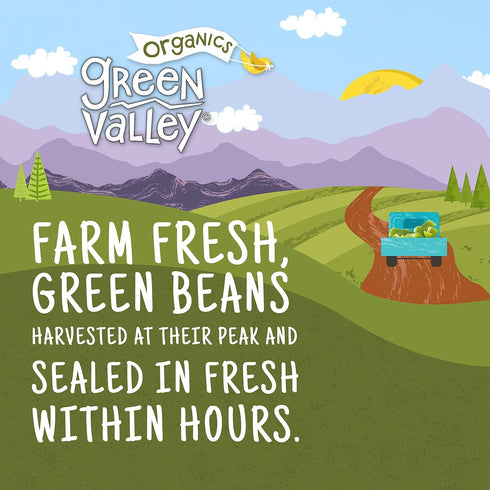14.5 oz (Pack 4) Green Valley Organics Cut Green Beans | Certified Organic | Deliciously Mild Subtly Sweet Flavor
