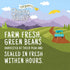 14.5 oz (Pack 4) Green Valley Organics Cut Green Beans | Certified Organic | Deliciously Mild Subtly Sweet Flavor