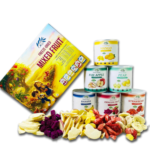 CHAVI Freeze Dried Fruits - Mixed | 6 in 1 | No