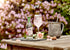 BELVOIR FRUIT FARMS 8.4 oz. Belvoir - Elderflower & Rose Lemonade - fl.