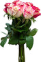 Flower Explosion 12 Stems - Fresh Cut Sweetness Pink and White Rose Bouquet from