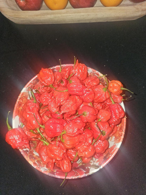 Generic Zozoma 2 B6, Packed Farms Pounds Fresh Red Carolina Reaper Peppers. Contains vitamins A, C, and potassium.