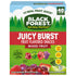 0.8 oz 40 Black Forest, Juicy Burst, Fruit Flavored Snacks, Mixed Fruit Flavors, A Juicy Burst of Natural Flavors, Made
