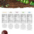 Pack 5 36g (5 Wicked Cutz Beef Jerky Variety | Flavors Up to Protein Per Bag | Tender, Easy to Chew, USA Made, High