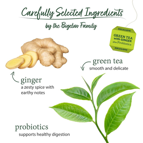 Bigelow Tea Green Tea with Ginger Plus Probiotics, Caffeinated Tea, 18 Count Box (Pack of 6)