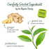 Bigelow Tea Green Tea with Ginger Plus Probiotics, Caffeinated Tea, 18 Count Box (Pack of 6)