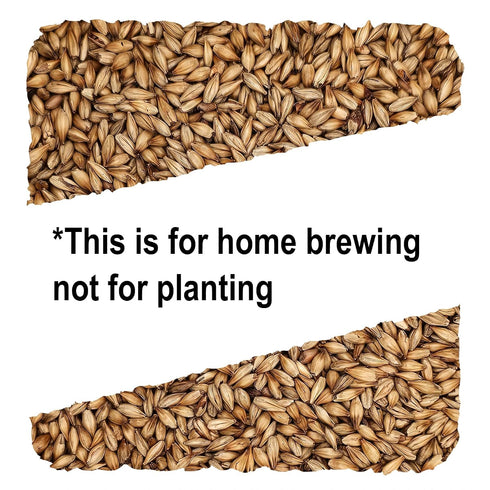 10 lb Golden Promise Brewing Malt for Home Brewing