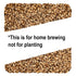 10 lb Golden Promise Brewing Malt for Home Brewing