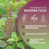 Worldwide Botanicals Organic Holy Basil Tea, 8oz - Tulsi Krishna, Loose Leaf Premium Herbal Tea, 100% Pure Tulsi