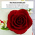 5 inch 1 Count Global Sugar Art Rose Sugar Cake Flowers Jumbo Deep Red, by Chef Alan Tetreault