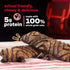 5g 5 Count KIND Kids Granola Bars, Chocolate Chip, Gluten Free, Low Sodium, Peanut and Tree Nut Free Snacks, Protein
