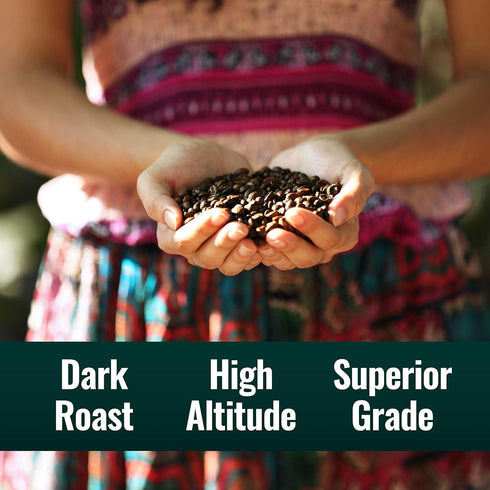 12 oz Natural Force Organic Mold Free Coffee, High CGA Coffee, Mycotoxin Free, Low Acidity, Incredible Taste & Aroma