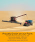 1 lb Palouse Brand Certified Glyphosate Residue Free Hard White Wheat Berries | | Non-GMO Project Verified | Kosher