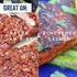 25.8oz PS Seasoning Notorious PIG - Pulled Pork Seasoning & Dry Rub - Pulled Pork Seasoning, BBQ Rubs for Smoking