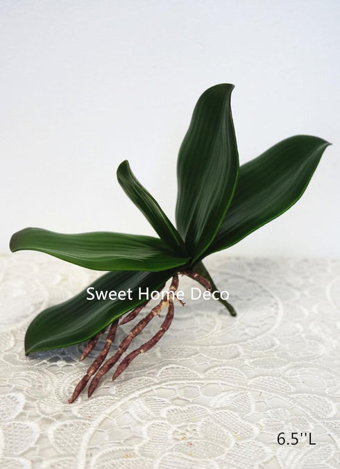 Greenery --- Sweet Home Deco (12, 6.5''L) Sweet Home Deco Gel Coated Phanaenopsis Orchid Artificial Greenery Leaf