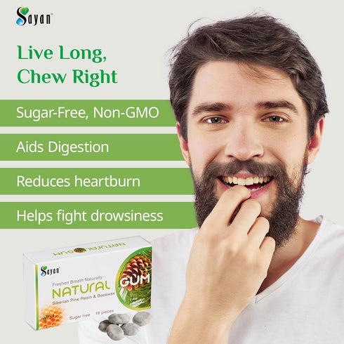 Sayan Sugar-Free All Natural Chewing Gum, 6 Packs (96 Pieces) of Siberian Pine Tree Resin and Beeswax for Fresh Breath