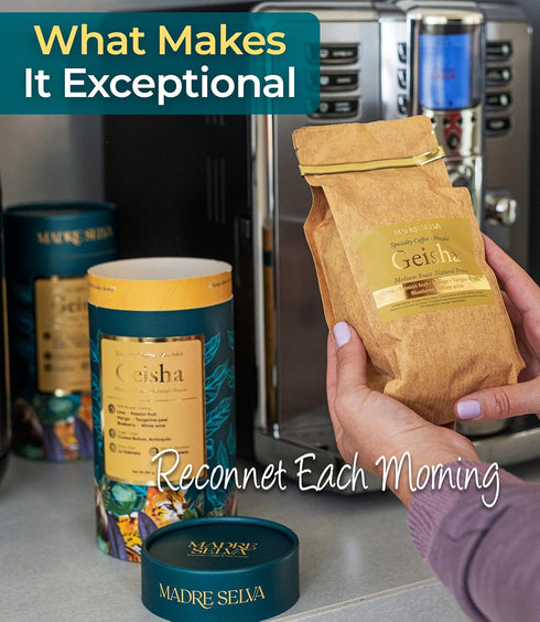 Pack 8.8oz 250g Colombian Geisha Coffee Whole Bean Medium Roast Arabica Gourmet Fresh Single Origin Premium Low Acid