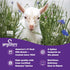 12oz 1pk Meyenberg Nonfat Powdered Goat Milk, pouch, Kosher, Gluten Free, Vitamins A & D
