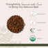 4 oz Starwest Botanicals Organic Dried Chaga Mushrooms - Cut and Sifted Chaga for Tea, Soups, Stews, Shakes, & More
