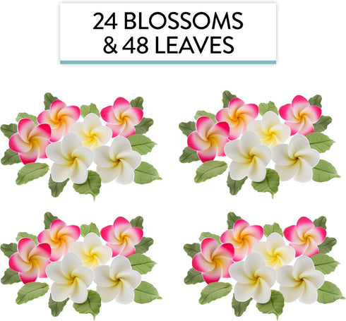 24 Count Count Global Sugar Art Tropical Frangipani Plumeria Edible Sugar Flower Blossoms, Wedding Cake & Cupcake