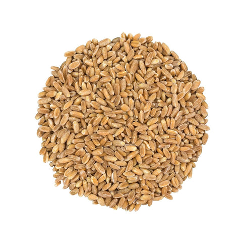 6 Food to Live Pearled Farro Grain, Pounds - Italian Whole Grain, Good Source of Dietary Fiber, Protein and Iron