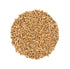 6 Food to Live Pearled Farro Grain, Pounds - Italian Whole Grain, Good Source of Dietary Fiber, Protein and Iron