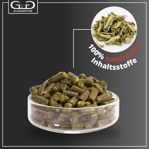 Mulberry 30g GlasGarten Shrimp Snack