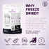 3.2 3.2 Jungle Powders Freeze Dried Strawberries Organic USDA Certified Strawberry Slices Ounce Bag + Whole Black