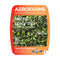 AEROFARMS , Microgreens Spicy Mix Arugala Mustard Conventional, 2 Ounce