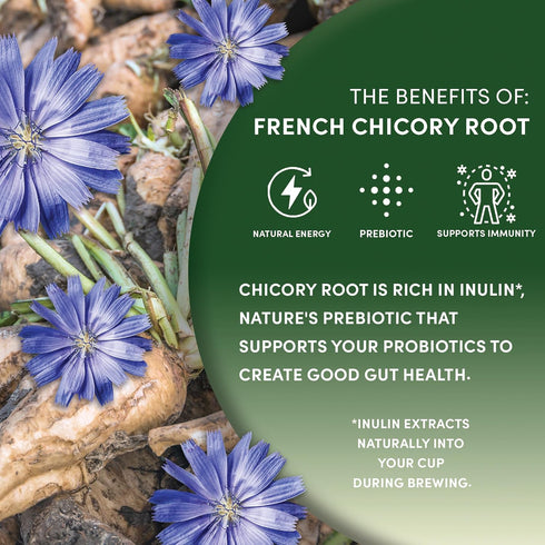 1 Worldwide Botanicals Organic French Chicory Root, Pound - Brew Like Coffee, Blend Roasted Chicory Root With Coffee