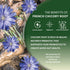 1 Worldwide Botanicals Organic French Chicory Root, Pound - Brew Like Coffee, Blend Roasted Chicory Root With Coffee