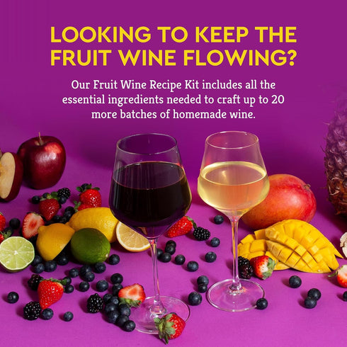Frozen 20 1-gal Craft A Brew - Fruit Wine Recipe Kit - Easy for Beginners - At Home Wine Making Kit - Ingredient-Only