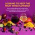 Frozen 20 1-gal Craft A Brew - Fruit Wine Recipe Kit - Easy for Beginners - At Home Wine Making Kit - Ingredient-Only