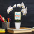 3" Green Circle Growers Petite White Orchid in Evi White Planter, Live Plant Best Teacher Ever