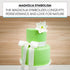 3 Count Global Sugar Art Magnolia Blossom Sugar Cake Flowers, White, Large, by Chef Alan Tetreault