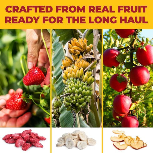 Pack (9.54 Oz), Pack, 0.53 Oz 18 Packs Zest Delites Freeze Dried Fruit Bulk Freeze Dried Strawberries, Bananas, Apple