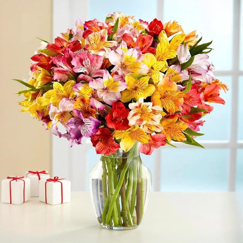 BloomsyBox. 24 Multicolored Alstroemeria Bouquet Flowers, Long Lasting & Hand-Tied, Farm Fresh