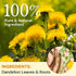 50 Dandelion Leaf & Root Herbal Tea-Caffeine-free, Teabags