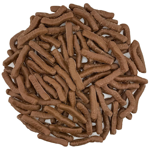 Gummy (1 (Pack 1), FirstChoiceCandy Chocolate Covered Worms Pound of Milk Chocolate)