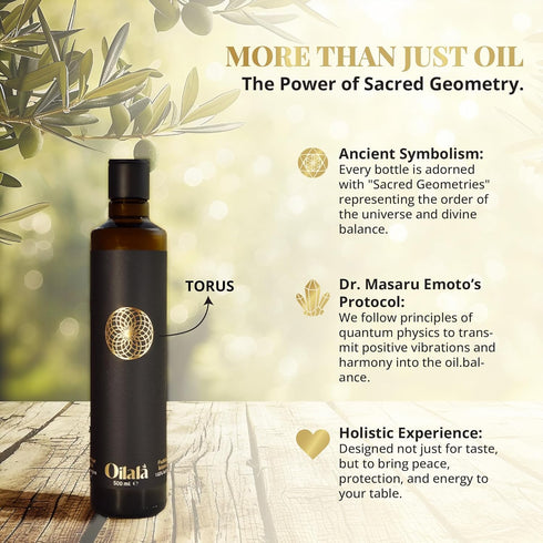 OILALA 2022 2023/24 500ml (16.9 Oz) Extra Virgin Olive Oil, Robust Flavor, Gold Medal NYIOOC! filtered,Italian Family