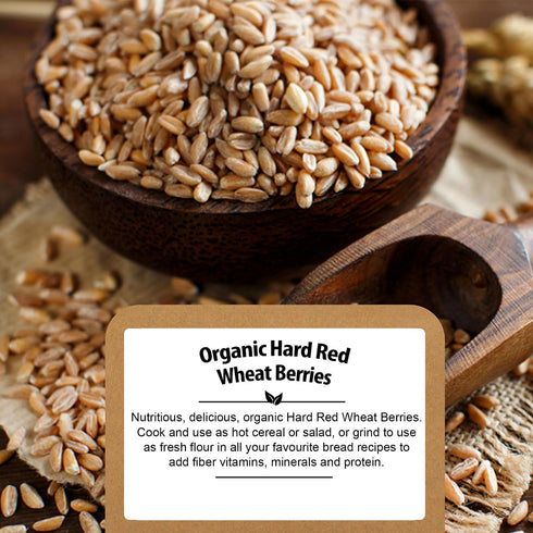 (4.8lb) Be Still Farms Organic Hard Red Wheat Berries - Healthy Diet Whole Grains Bulk - Ideal for Soups, Salads