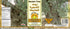 750 ML Ancient Tree Olive Oil Extra Virgin Cold Pressed Imported From Lebanon