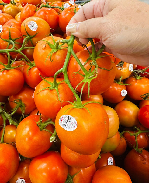 2 Lbs Kejora Fresh Tomatoes