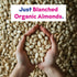 27 7 JOI Organic Almond Milk Base, Unsweetened Plain Concentrate - Servings in Glass Jar, Paste / Butter, Blend