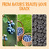 1 lb Oh! Nuts Dried Blueberries - No Sugar Added - Bulk Bag - Dehydrated Dried Blueberries for Snacking & Baking