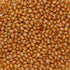 Smarty Stop Jelly Beans Every Flavor Candy (2 Pound (Pack of 1), Cola)