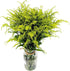 20 Vibrant Solidago Carzan Glory Bouquets for Home Decor & Special Occasions